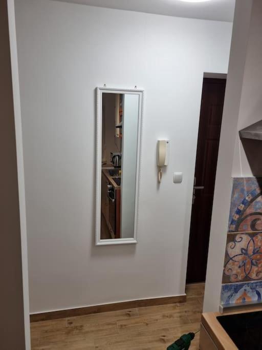 Studio Apartman Bojana 34M2,Free Wifi,Parking Sisak Eksteriør billede
