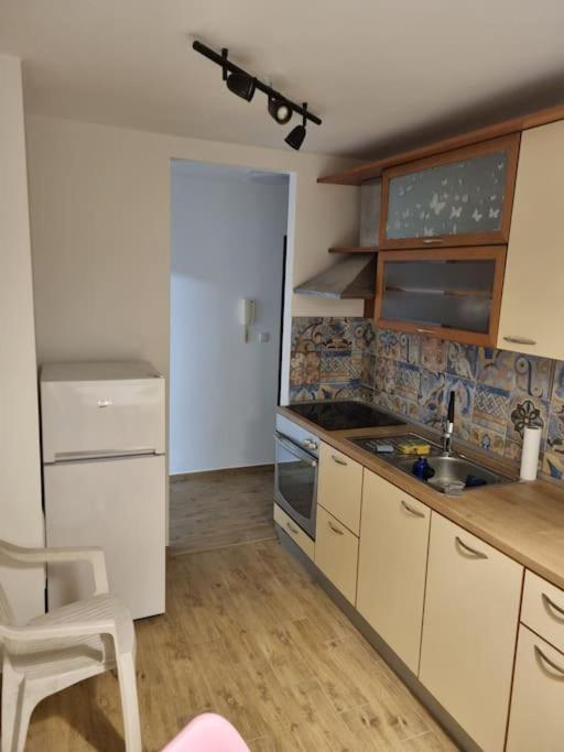 Studio Apartman Bojana 34M2,Free Wifi,Parking Sisak Eksteriør billede