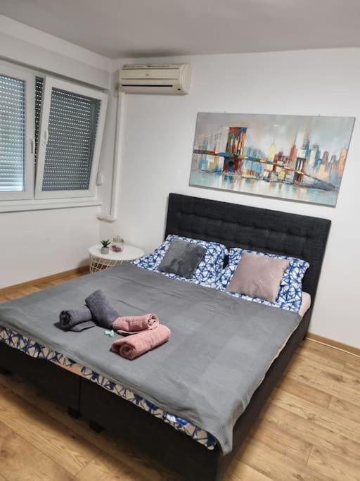 Studio Apartman Bojana 34M2,Free Wifi,Parking Sisak Eksteriør billede