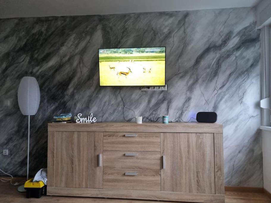 Studio Apartman Bojana 34M2,Free Wifi,Parking Sisak Eksteriør billede