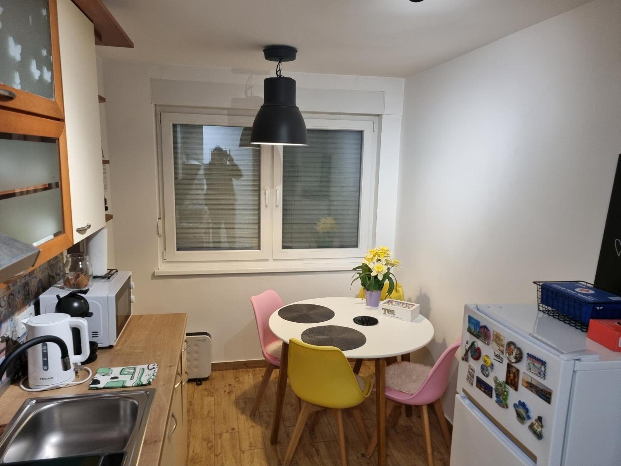 Studio Apartman Bojana 34M2,Free Wifi,Parking Sisak Eksteriør billede